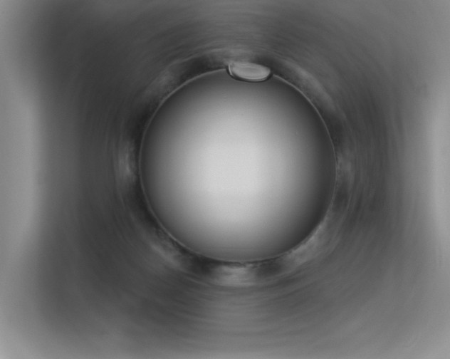 X0000113360170200909151242
