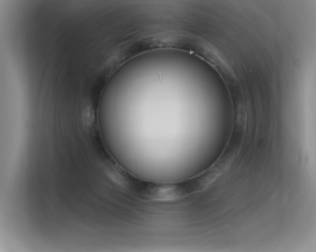 X0000113360173200909151242