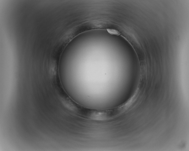 X0000113360174200909151242