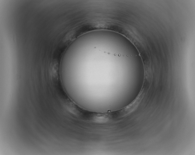 X0000113360175200909151242