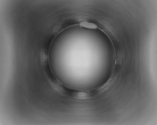X0000113360176200909151242