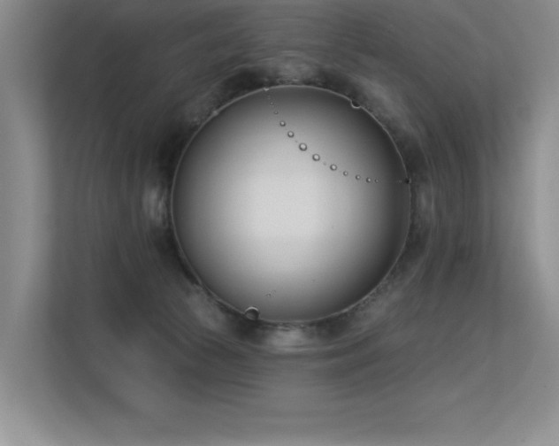X0000113360177200909151242