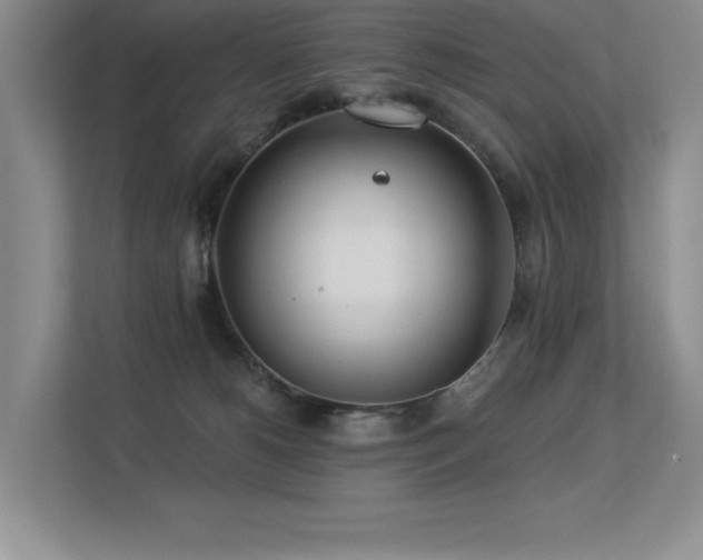 X0000113360180200909151243