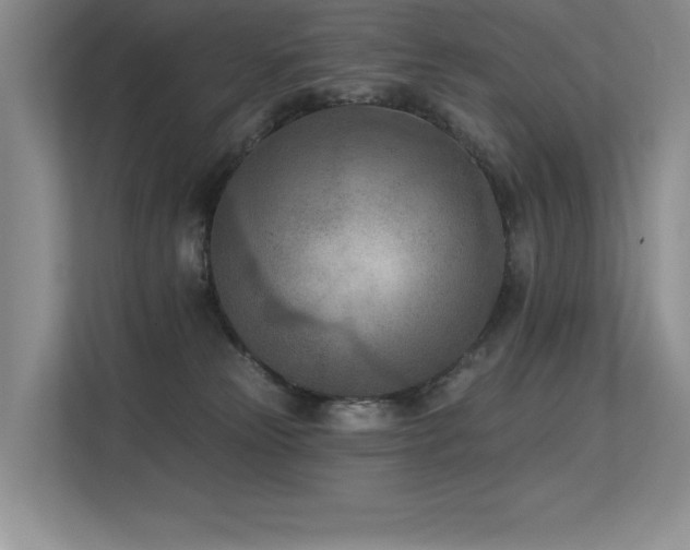 X0000113360181200909151243