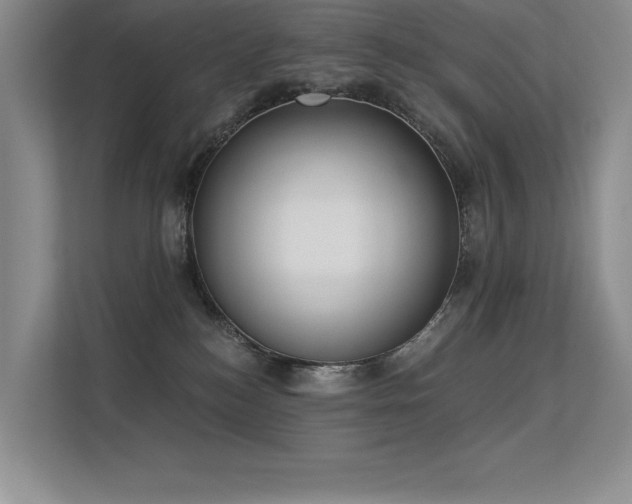 X0000113360184200909151243