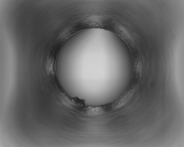 X0000113360185200909151243