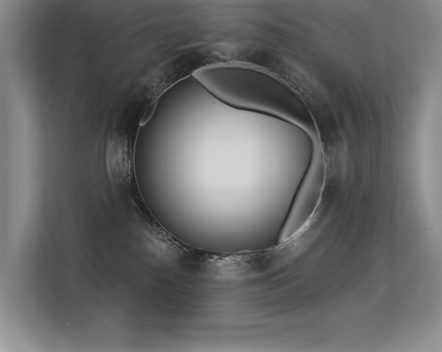 X0000113360186200909151243