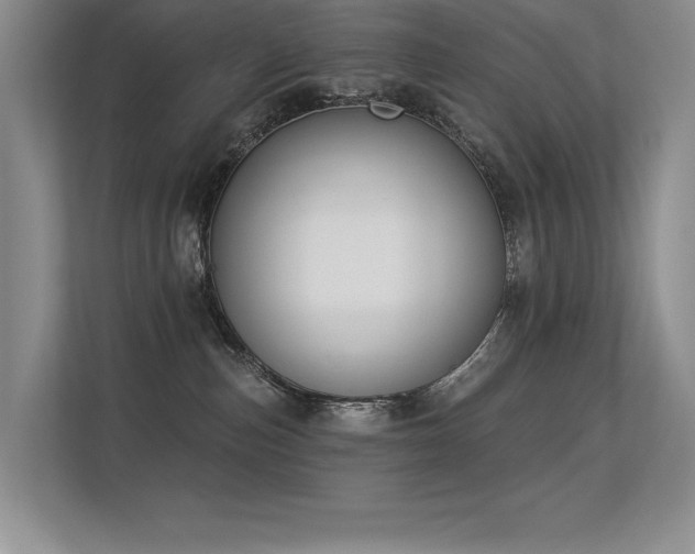 X0000113360187200909151243