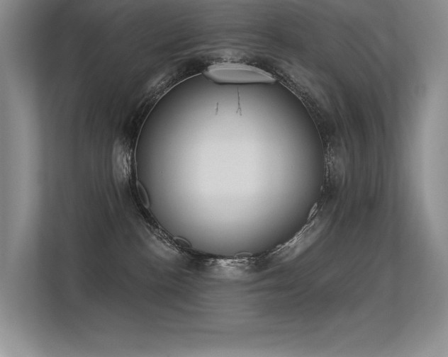X0000113360188200909151243
