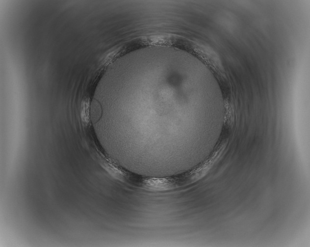 X0000113360189200909151243