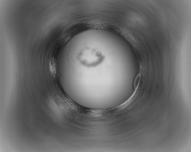 X0000113360190200909151243