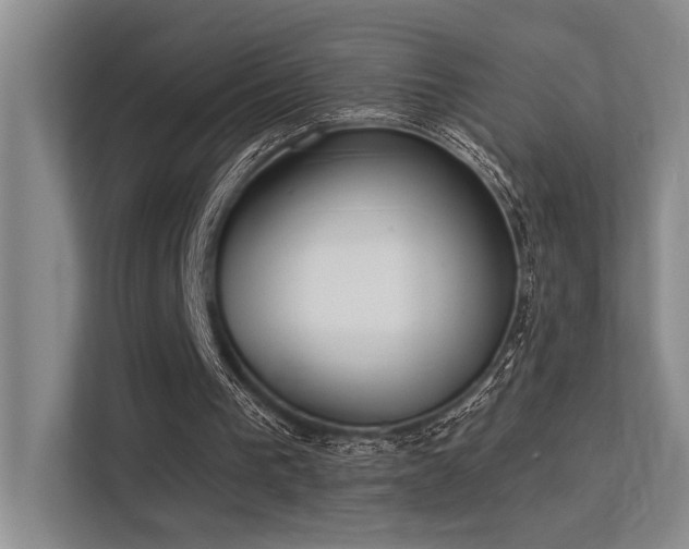 X0000113360193200909151242