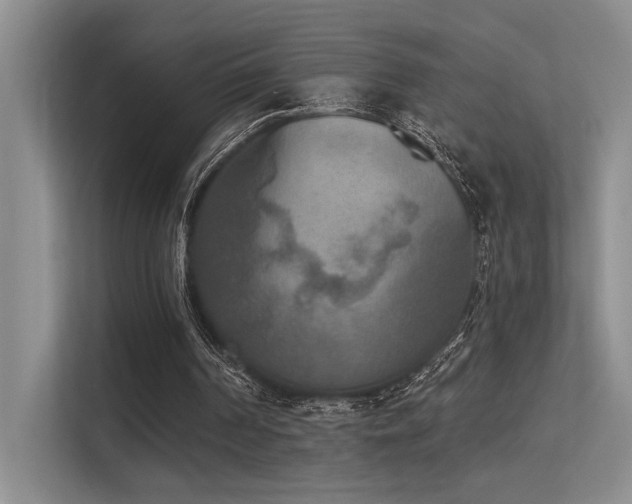 X0000113360194200909151242