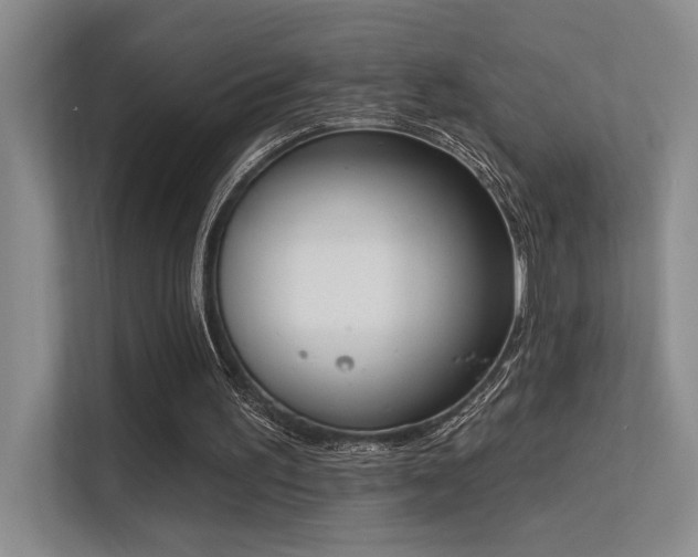 X0000113360195200909151242