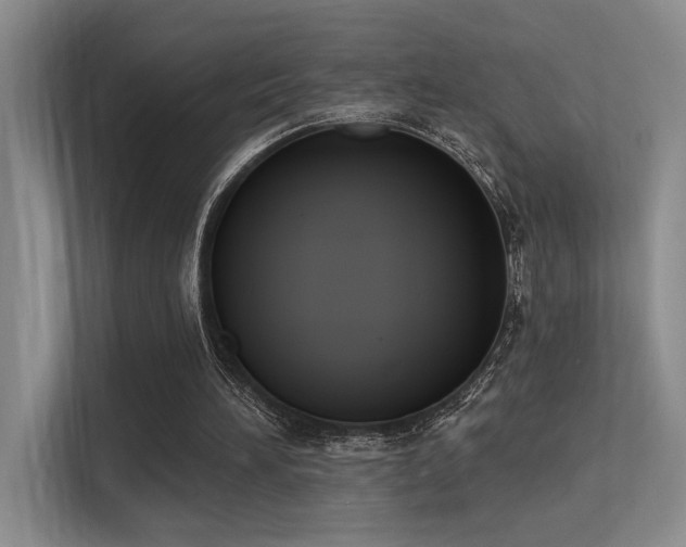 X0000113360196200909151242