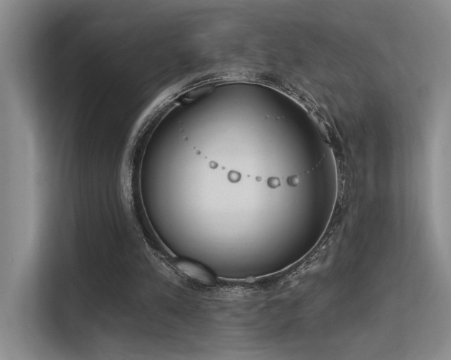 X0000113360197200909151242