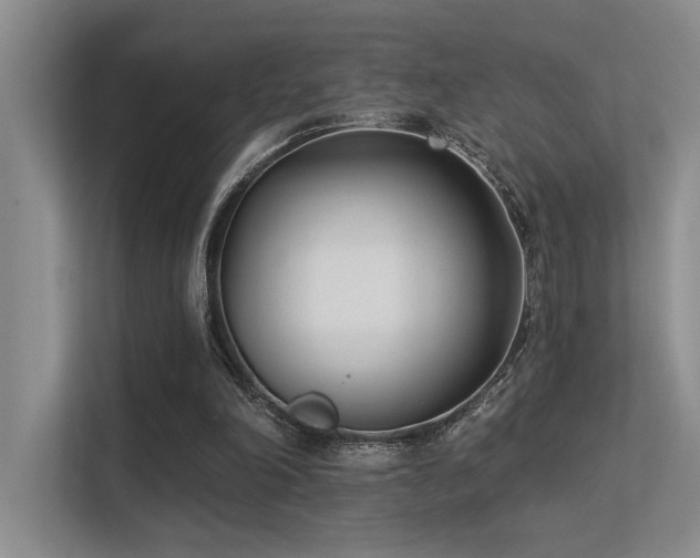 X0000113360198200909151242