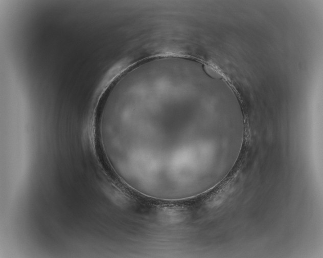 X0000113360199200909151242