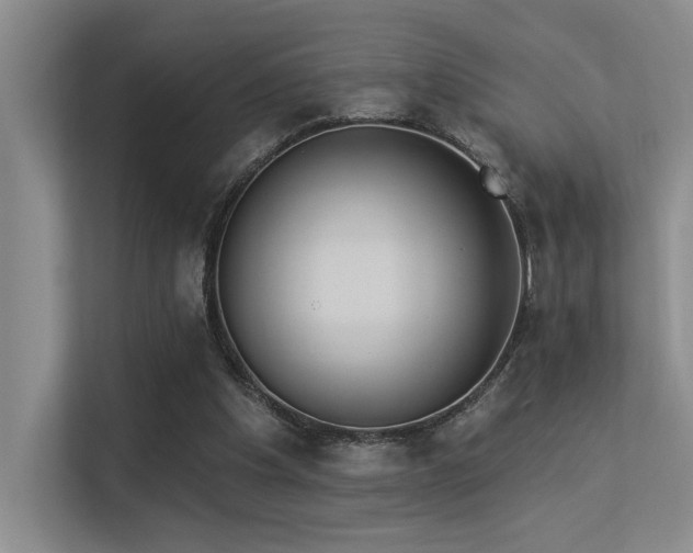 X0000113360201200909151242