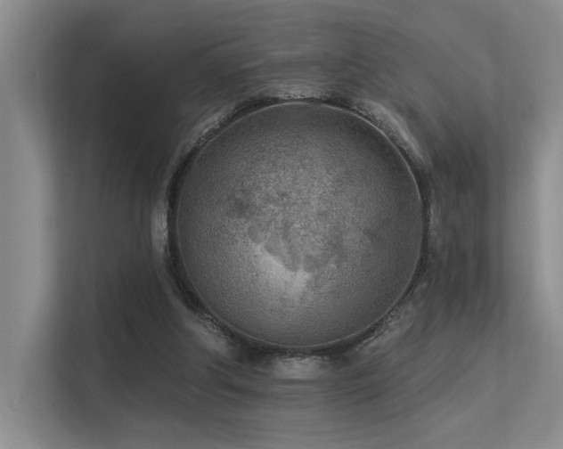 X0000113360202200909151242