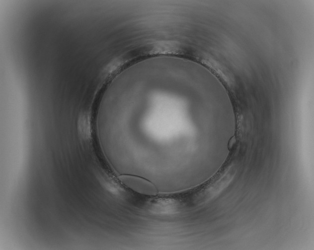 X0000113360203200909151242