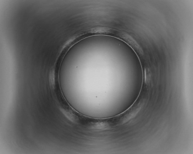 X0000113360204200909151242
