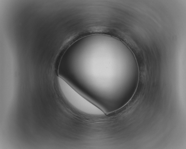 X0000113360207200909151242