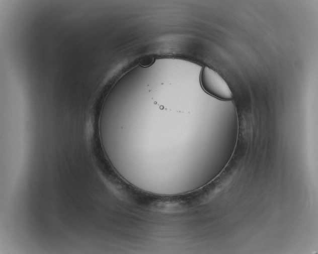 X0000113360208200909151242