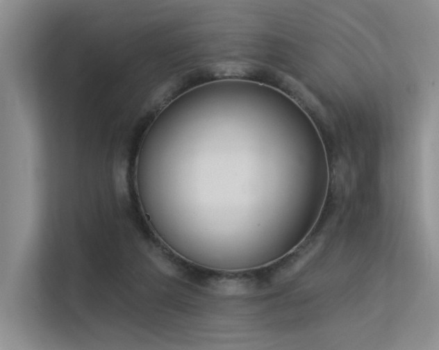 X0000113360209200909151242