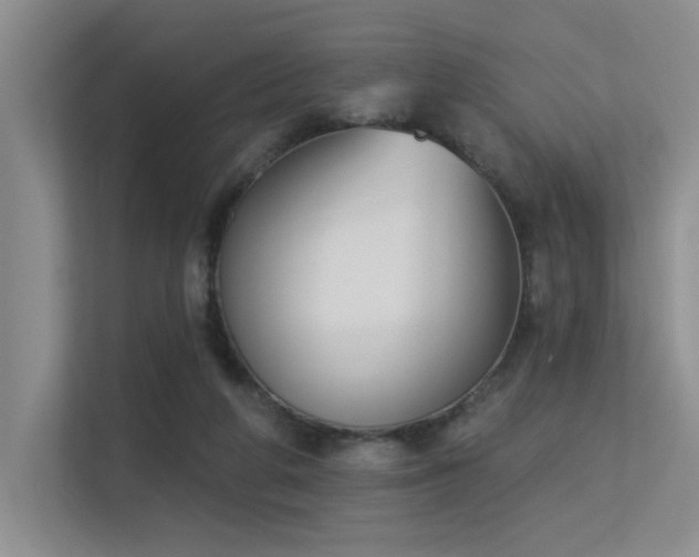 X0000113360210200909151242