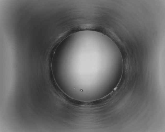 X0000113360211200909151242