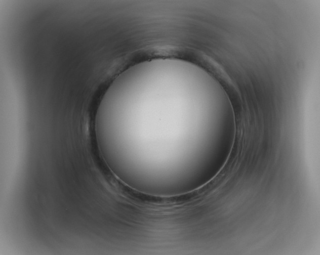 X0000113360213200909151242