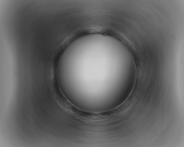 X0000113360215200909151242