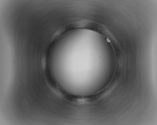 X0000113360216200909151242