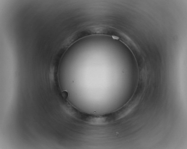 X0000113360217200909151242