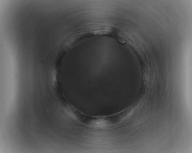X0000113360219200909151242
