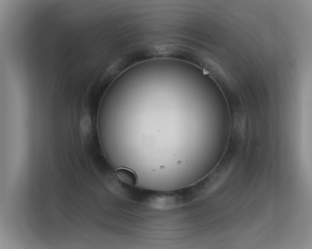 X0000113360220200909151242
