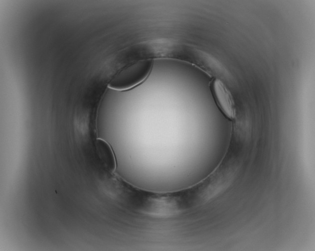 X0000113360221200909151242