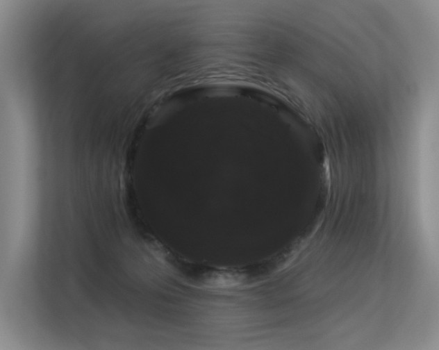 X0000113360223200909151242