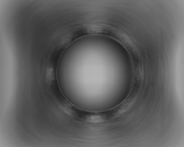 X0000113360224200909151242