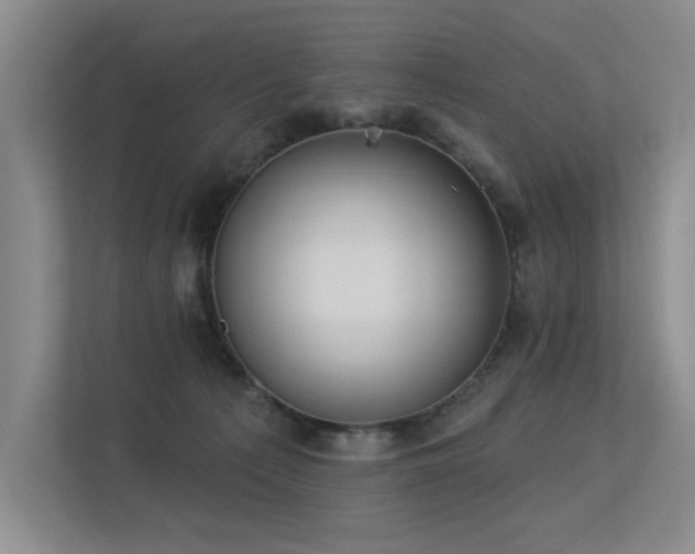 X0000113360225200909151242
