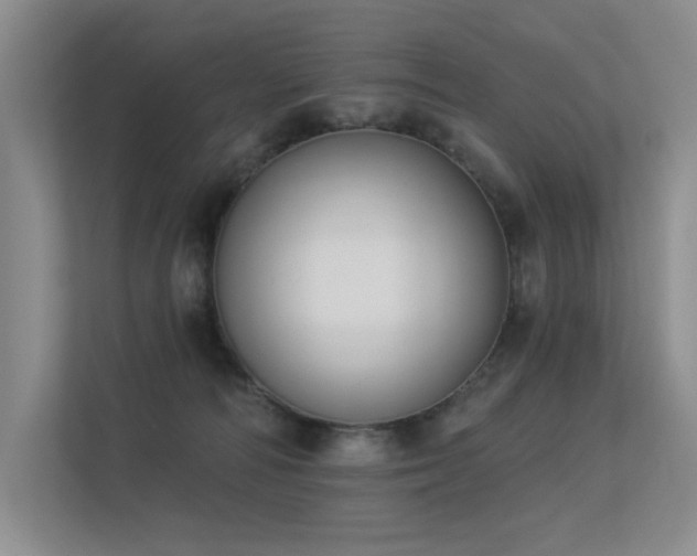 X0000113360226200909151242