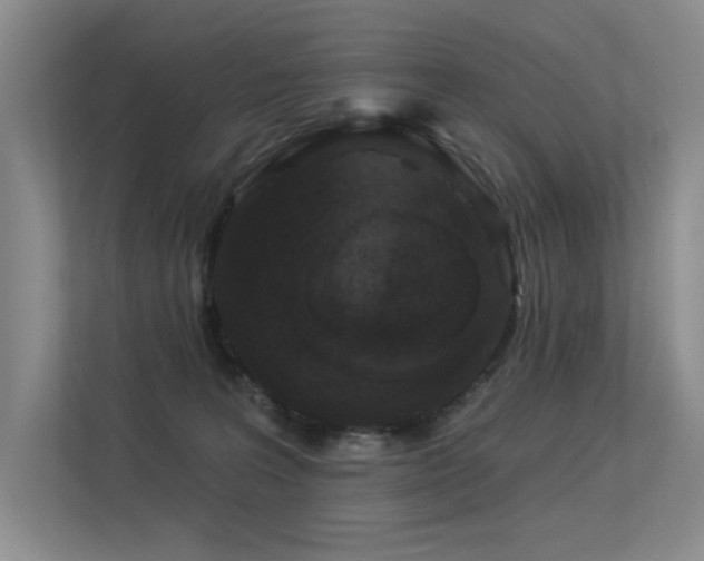 X0000113360227200909151242