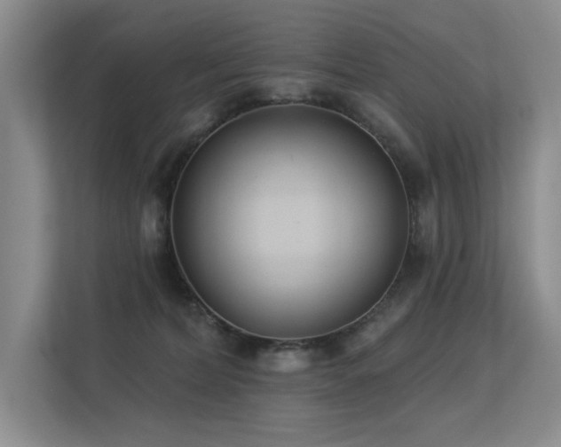 X0000113360228200909151242