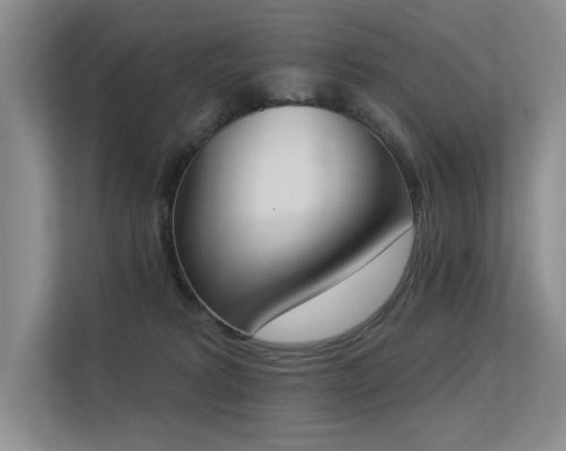 X0000113360229200909151242