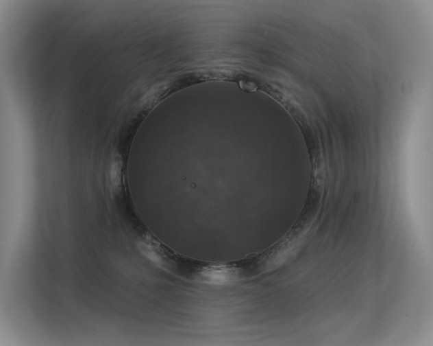 X0000113360231200909151242
