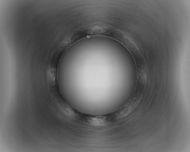 X0000113360232200909151242
