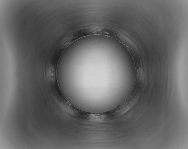 X0000113360234200909151242