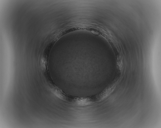 X0000113360235200909151242