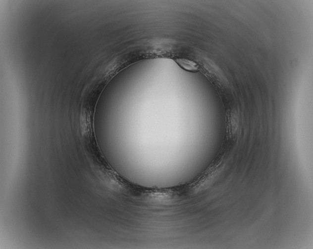 X0000113360236200909151242